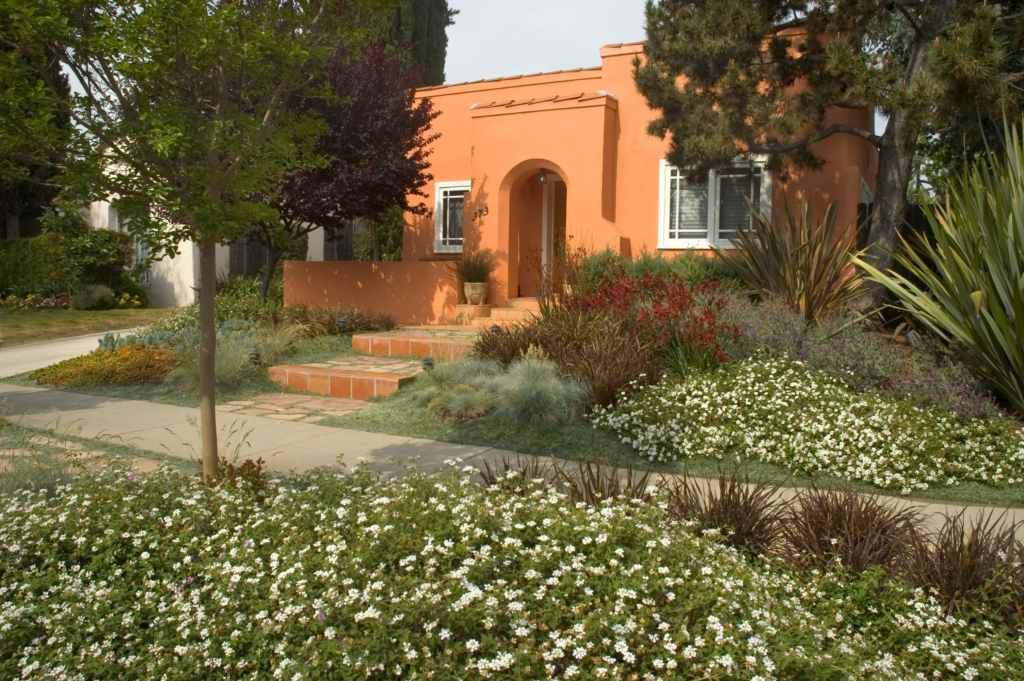 Drought tolerant front yard