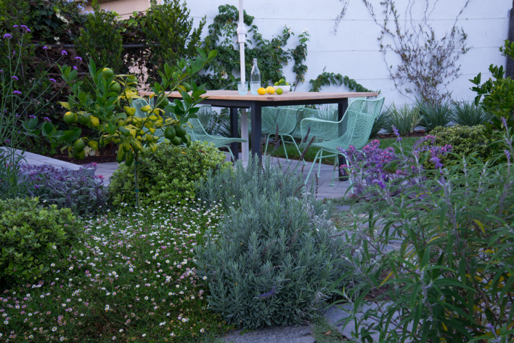 Table surrounded by small garden