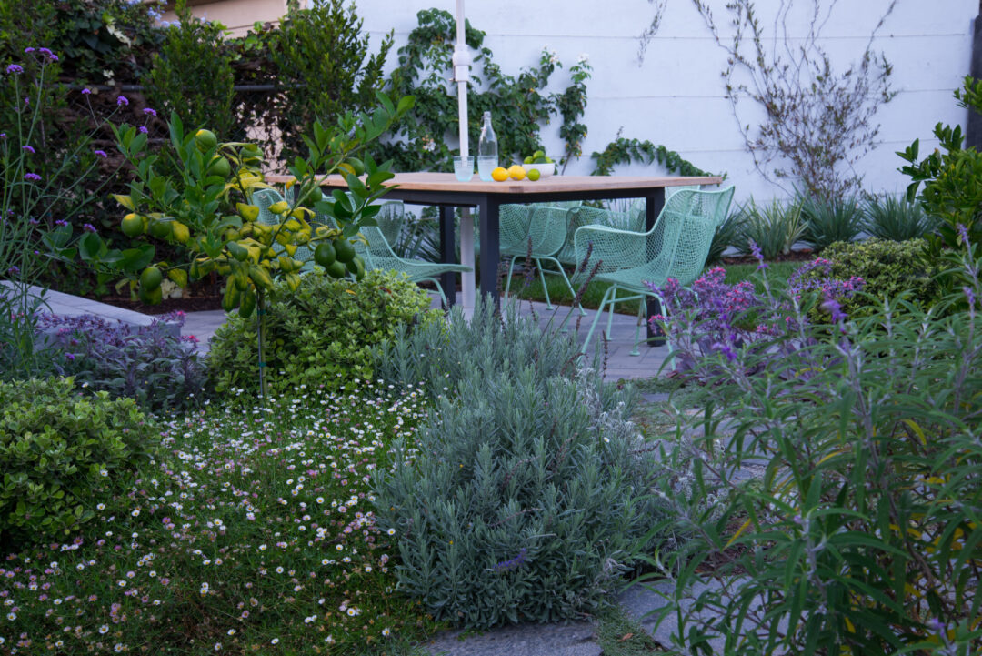 Table surrounded by small garden