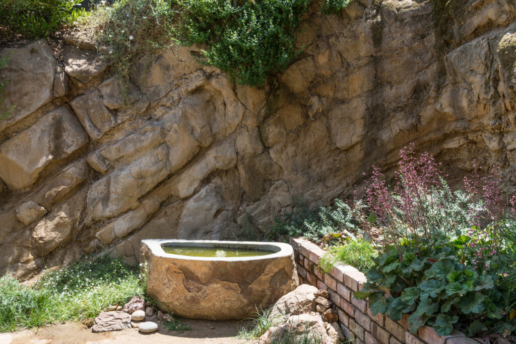 Small garden with a fountain