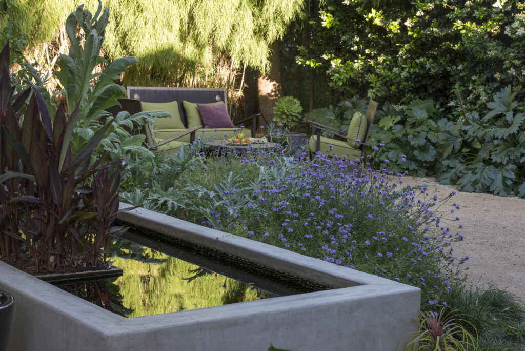 Small garden with a pond