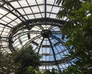 The glass ceiling of a garden at Huntington Library